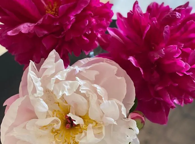 Adria Apartamento Velden am Wörthersee